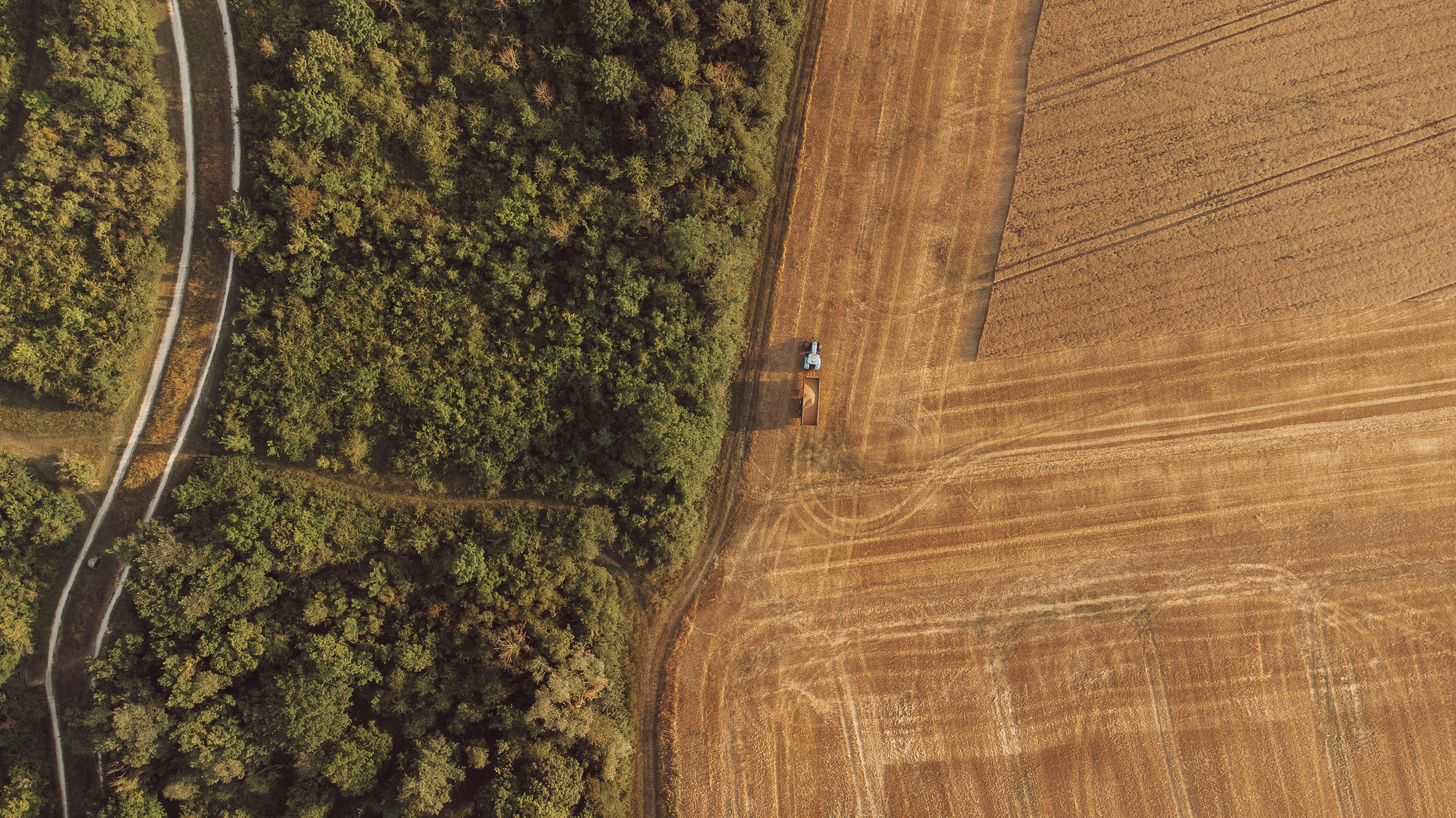 Photo by leandrechastagnier