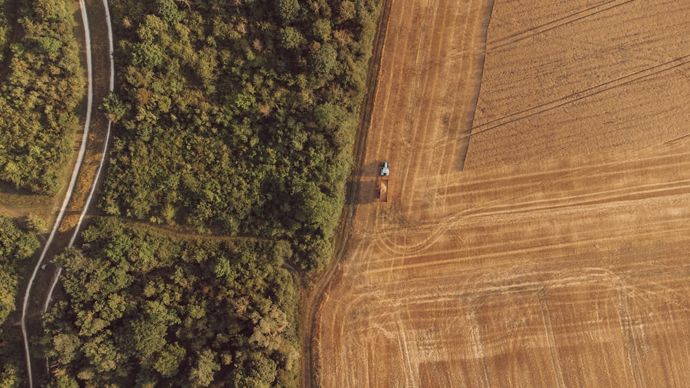 a person walking on a dirt path surrounded by trees