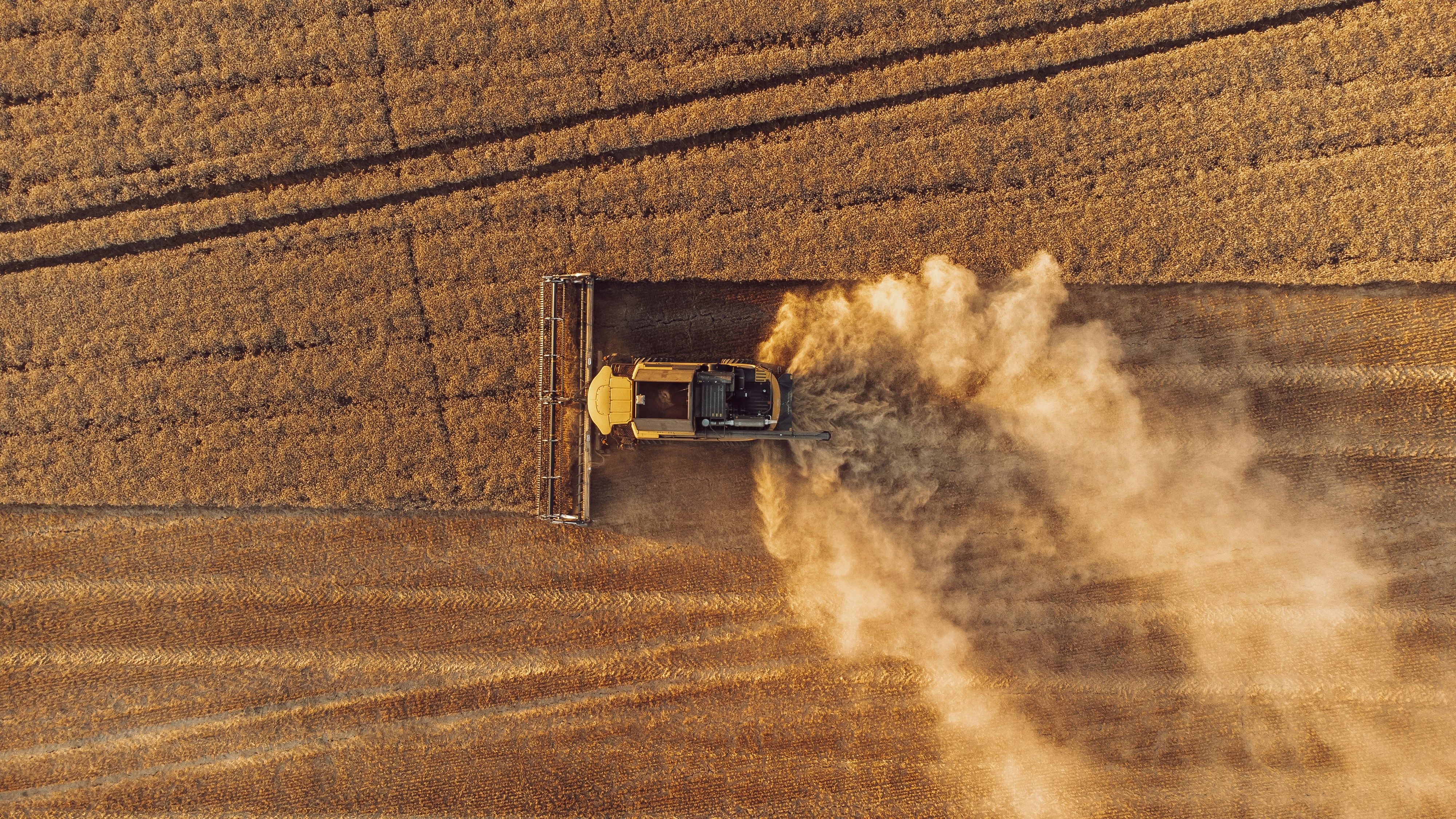 Photo by leandrechastagnier