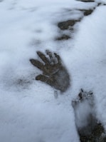 A handprint and a footprint are visible in the snow. The snow appears fresh and white with the prints revealing darker ground beneath. The handprint is distinct with clear finger impressions, while the footprint is slightly less defined.
