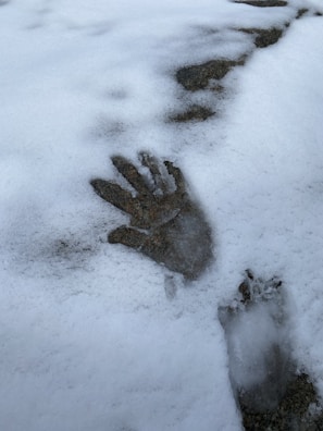 A handprint and a footprint are visible in the snow. The snow appears fresh and white with the prints revealing darker ground beneath. The handprint is distinct with clear finger impressions, while the footprint is slightly less defined.