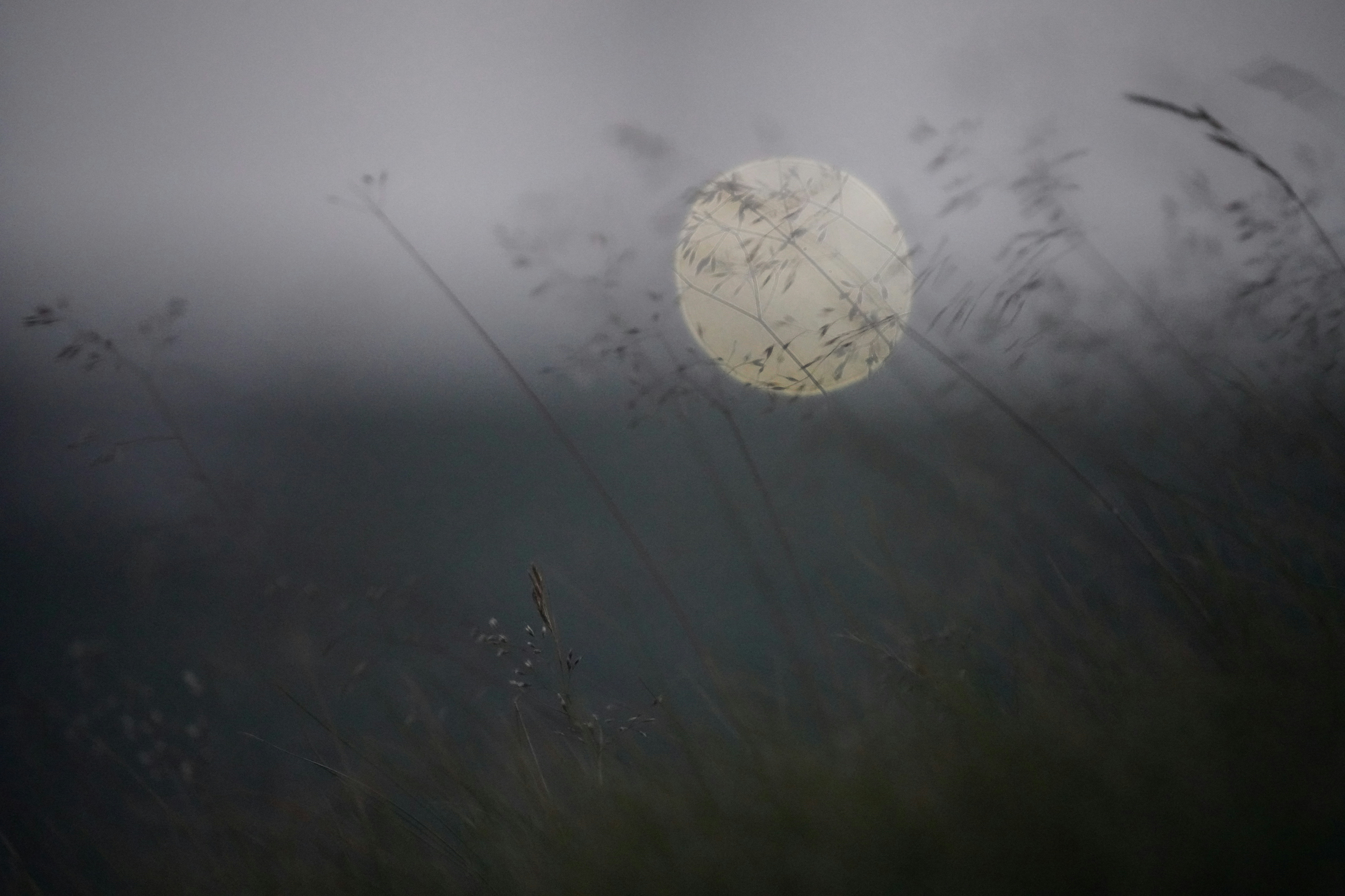 a white ball in the sky