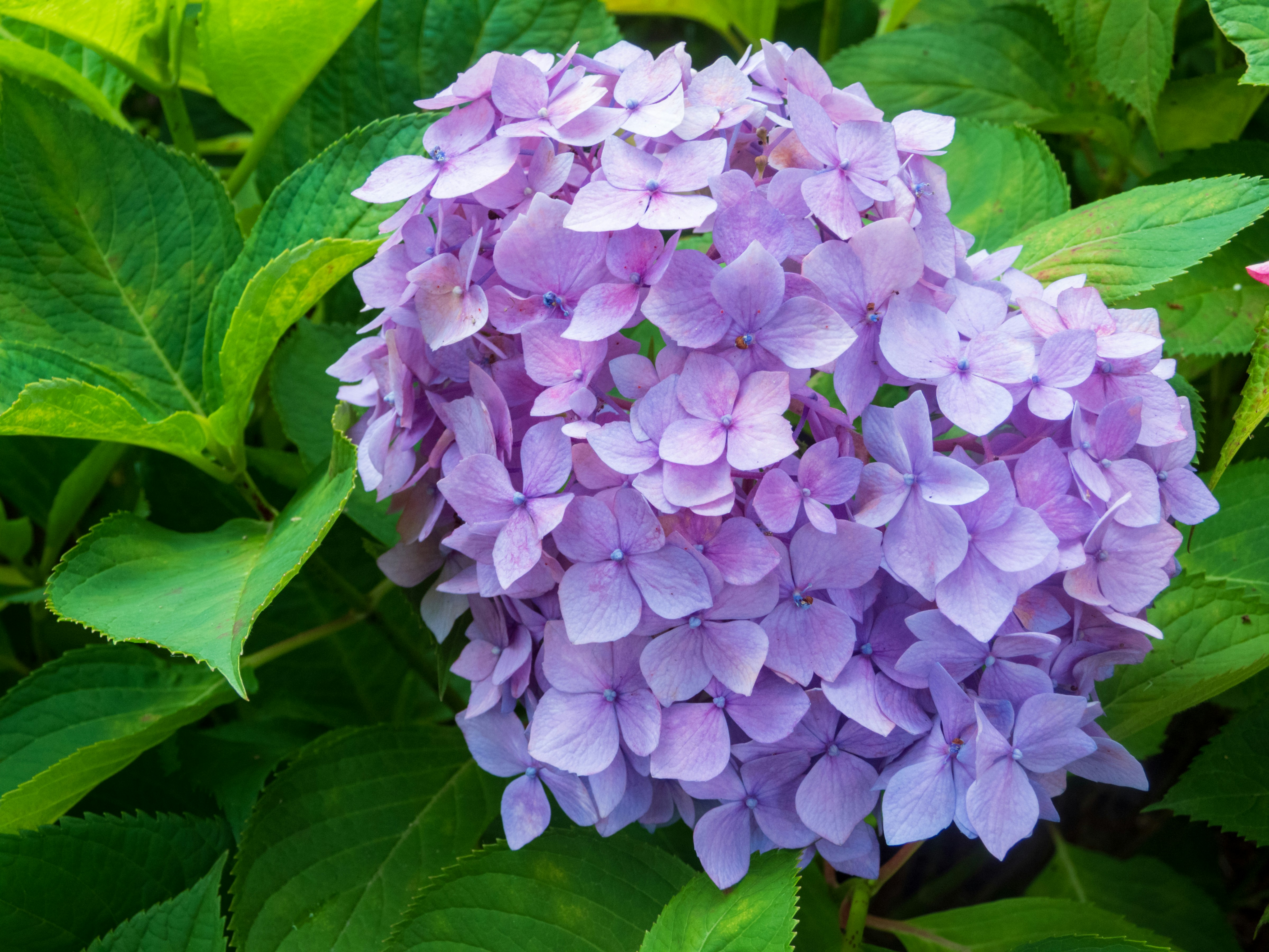 Photo by heppoko_yama