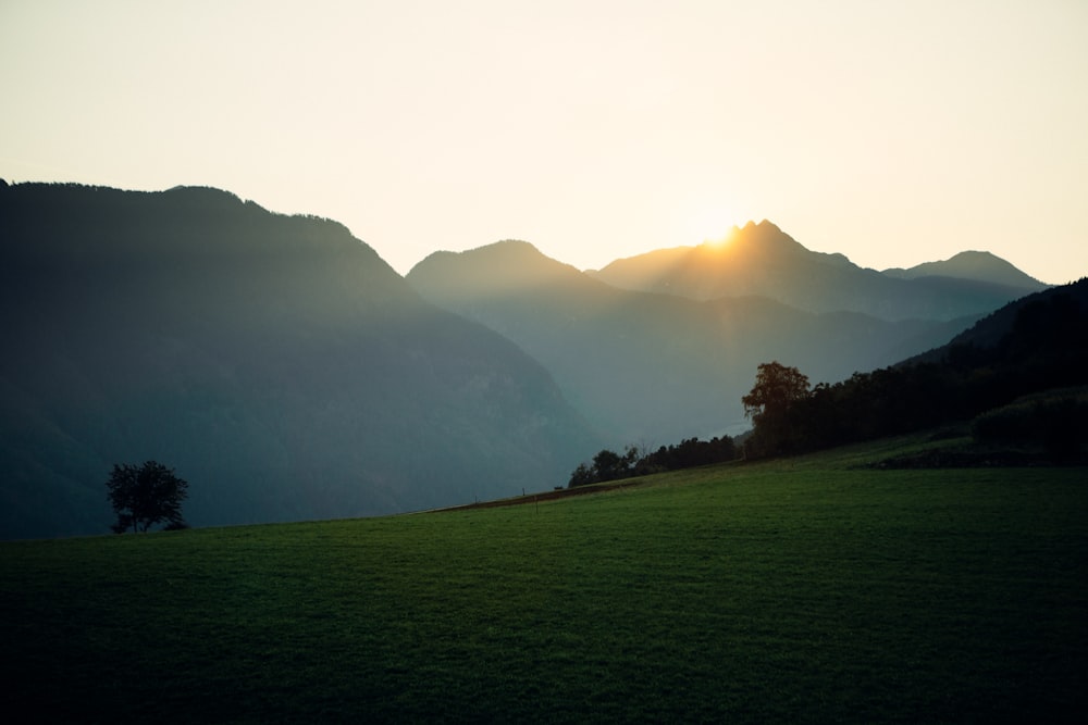 a grassy field with trees and mountains in the background