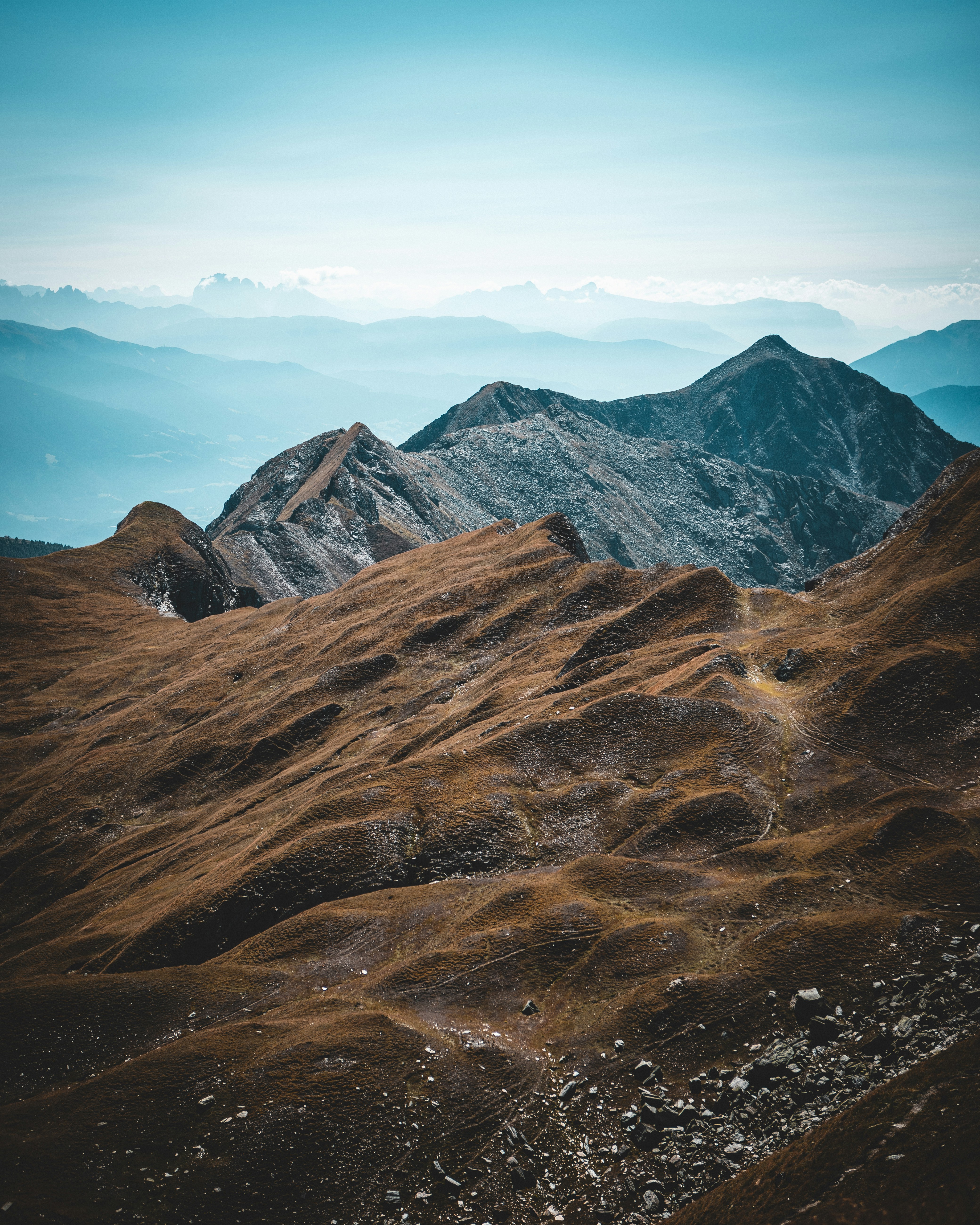Photo by birkenwald