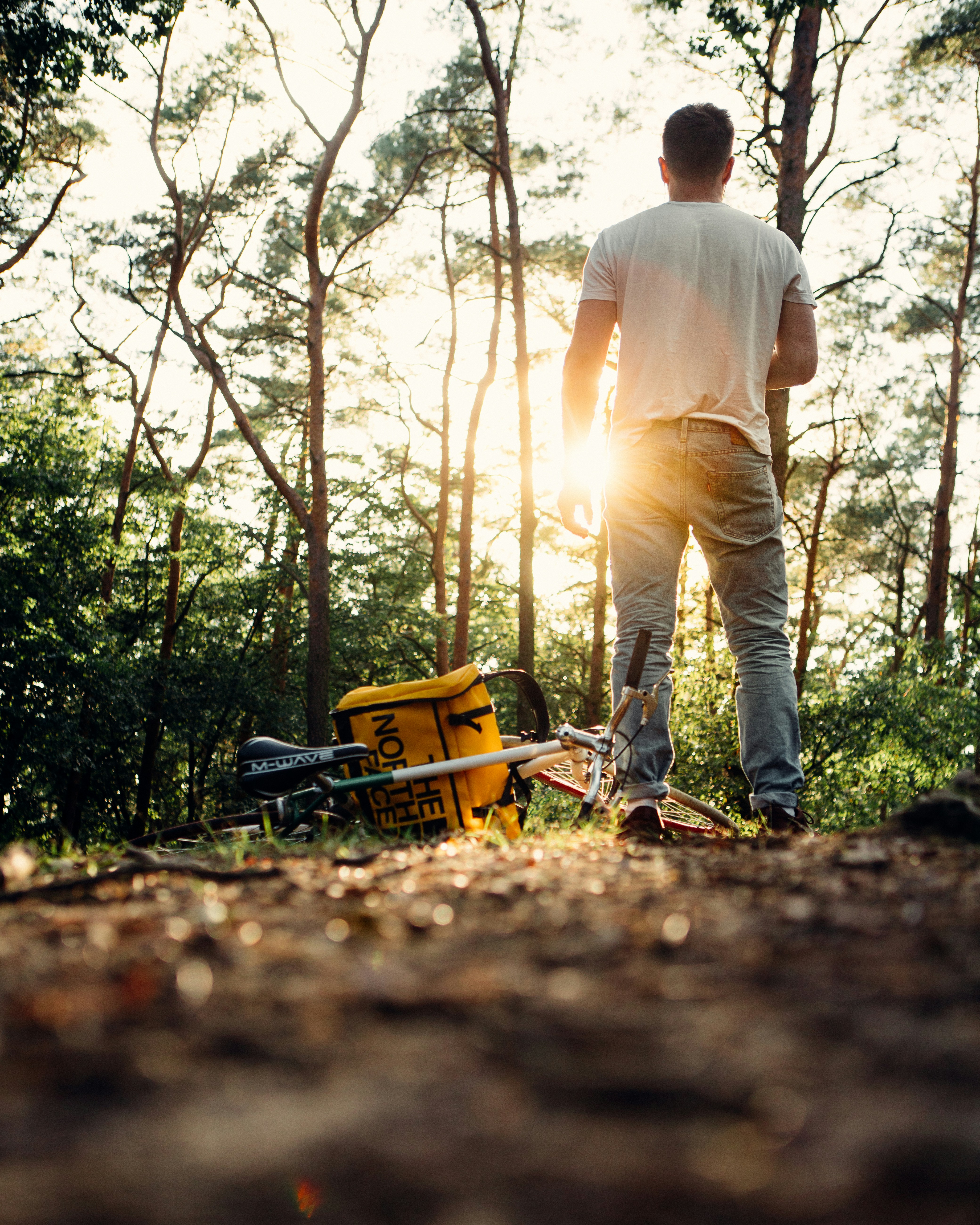 a man standing on a tree stump