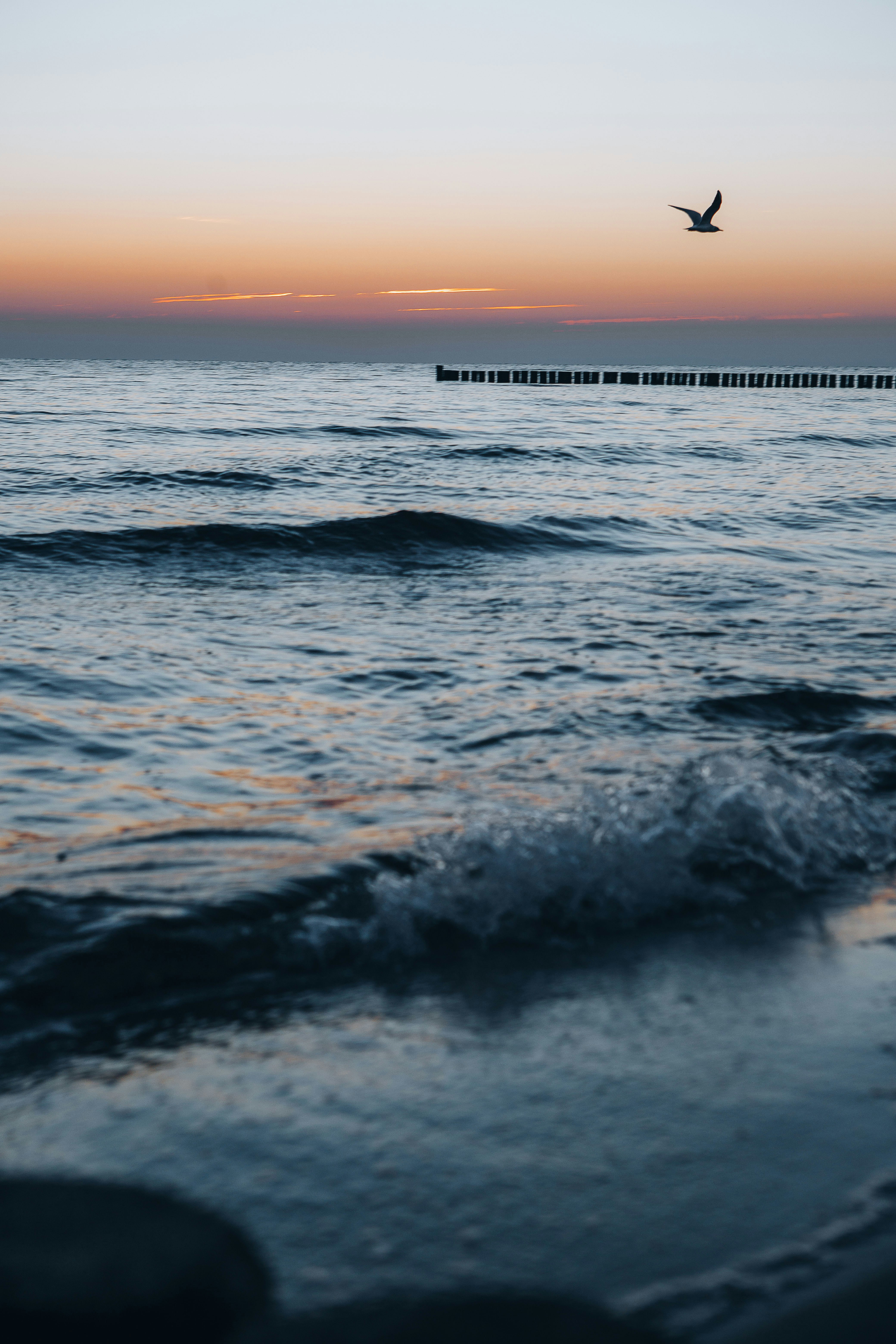 Photo by birkenwald
