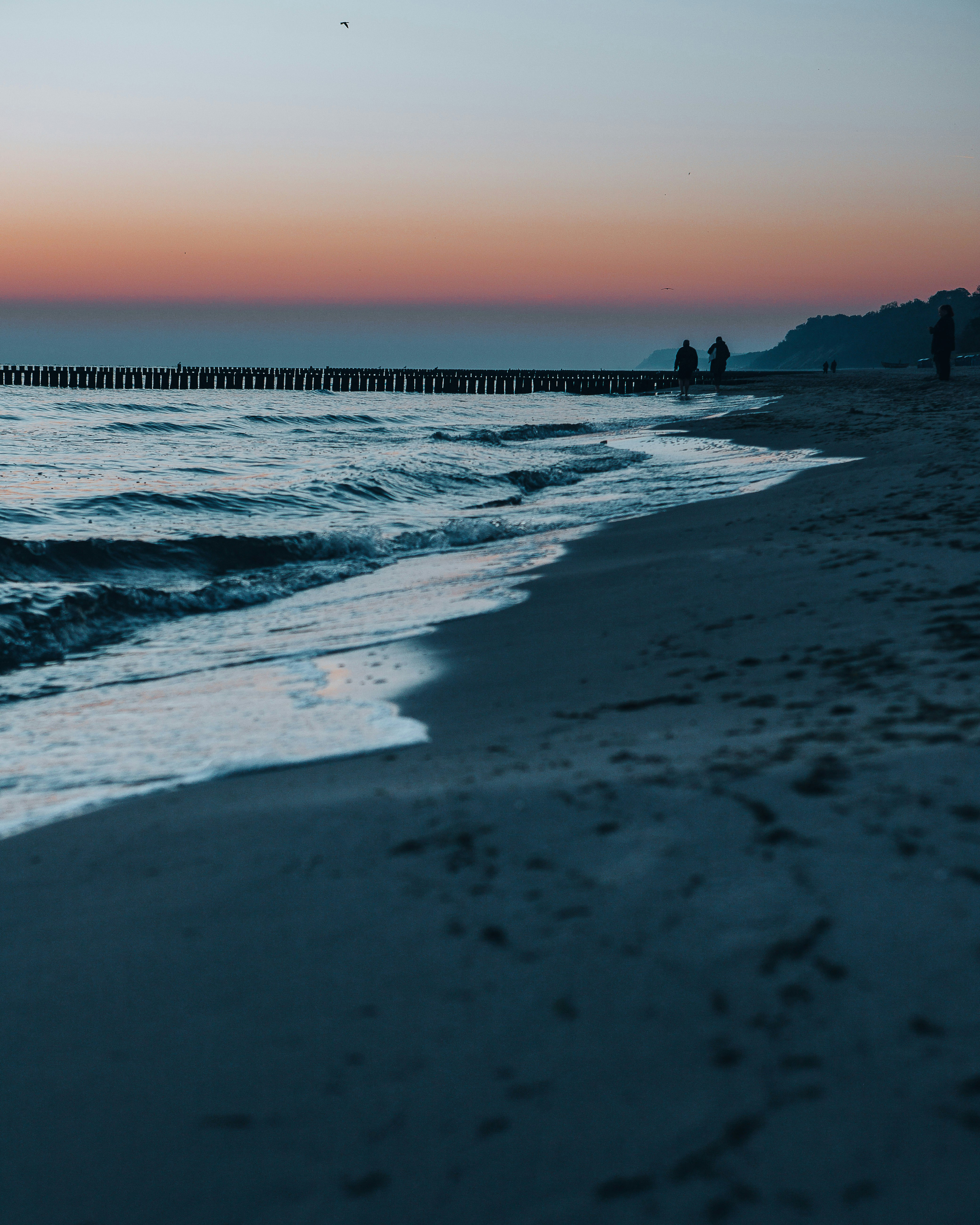 Photo by birkenwald