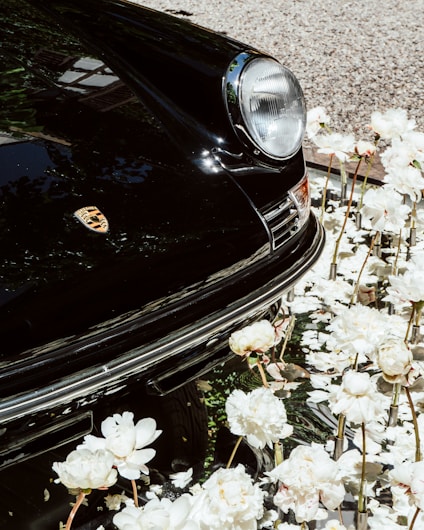 a black car parked in a lot of white flowers