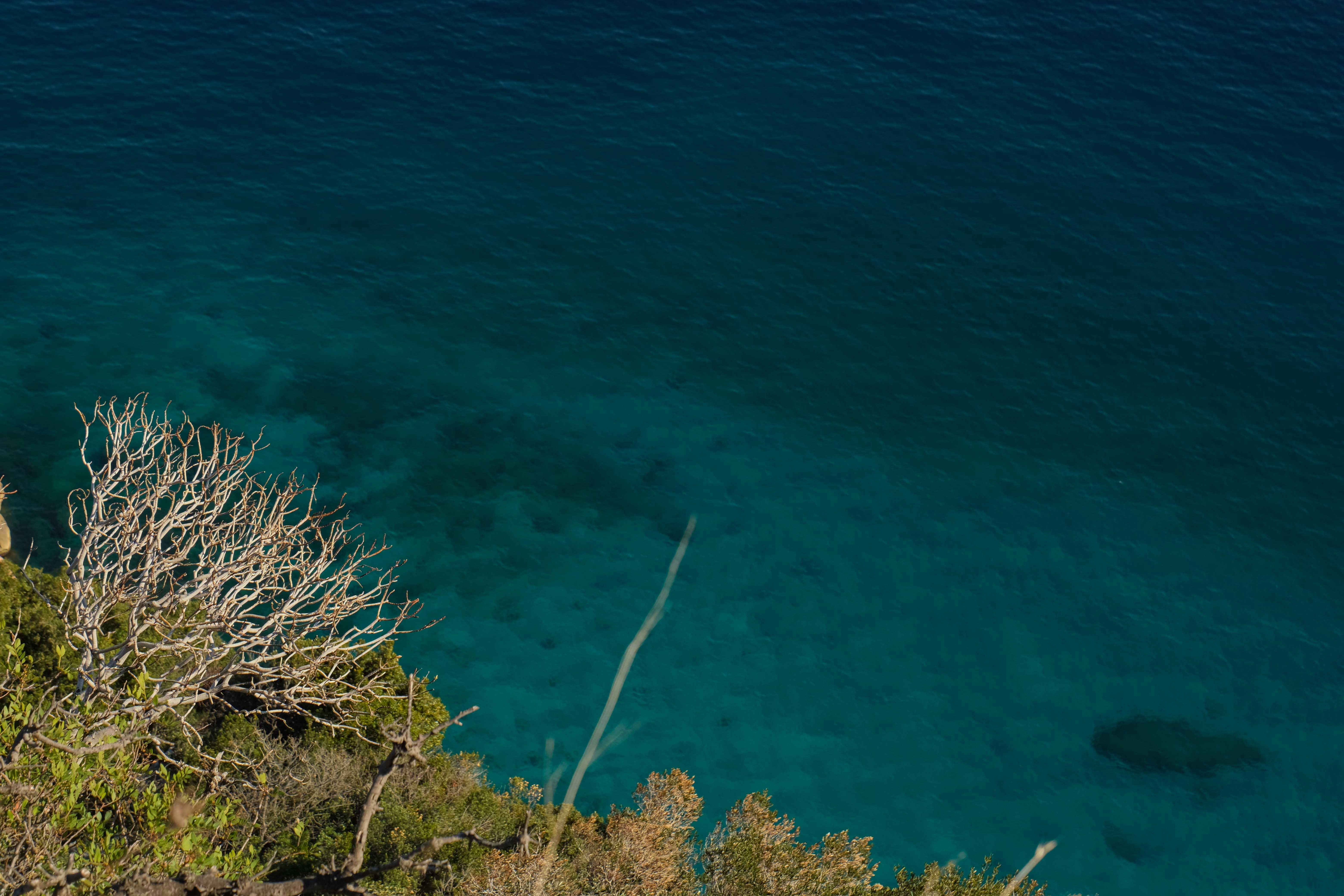 Photo by francesco_ungaro