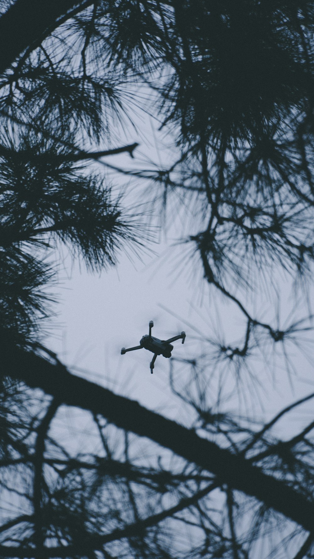 a helicopter flying in the sky