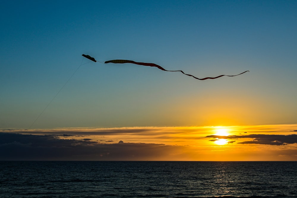 a bird flying over water