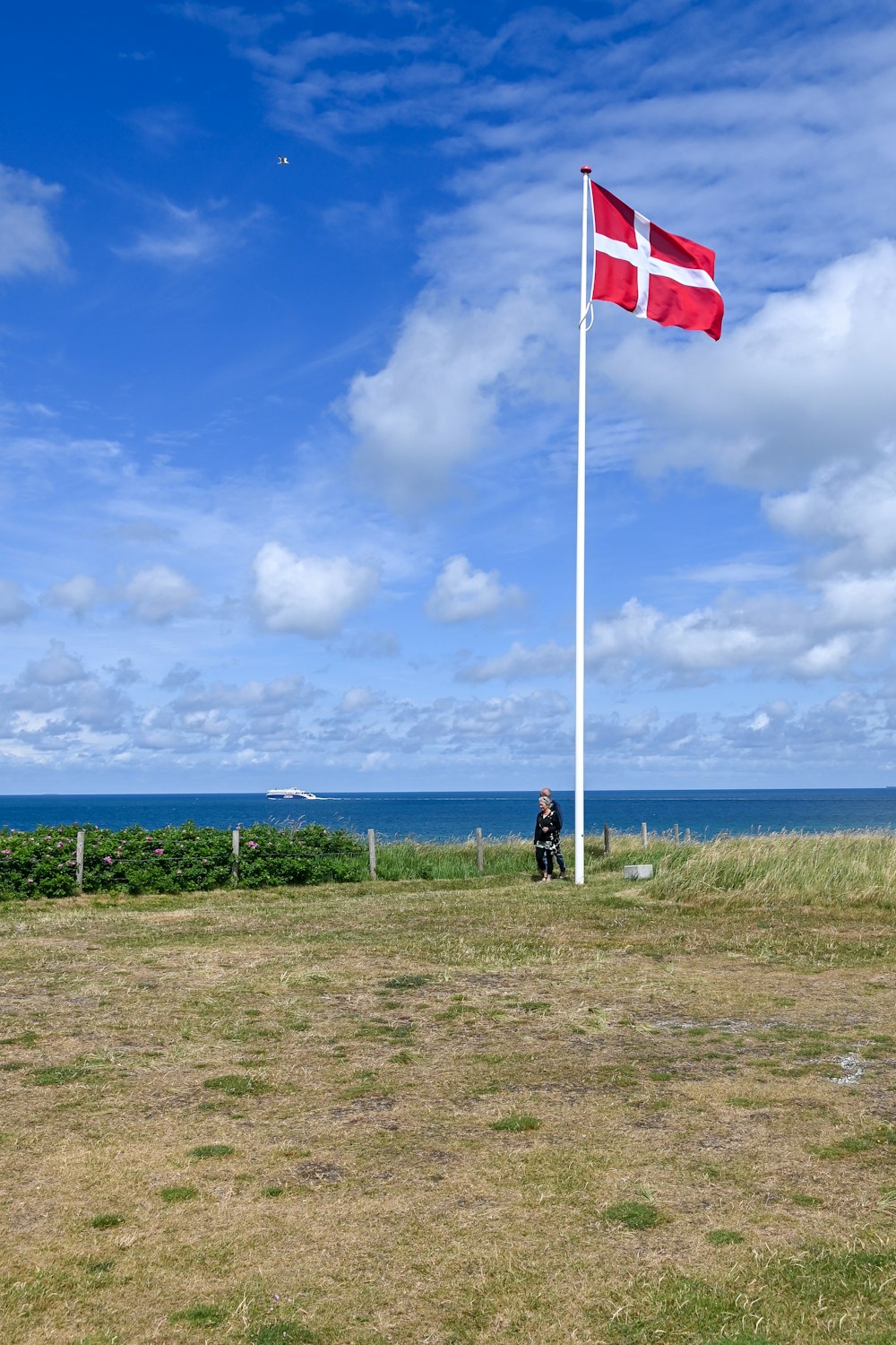 a flag on a flagpole