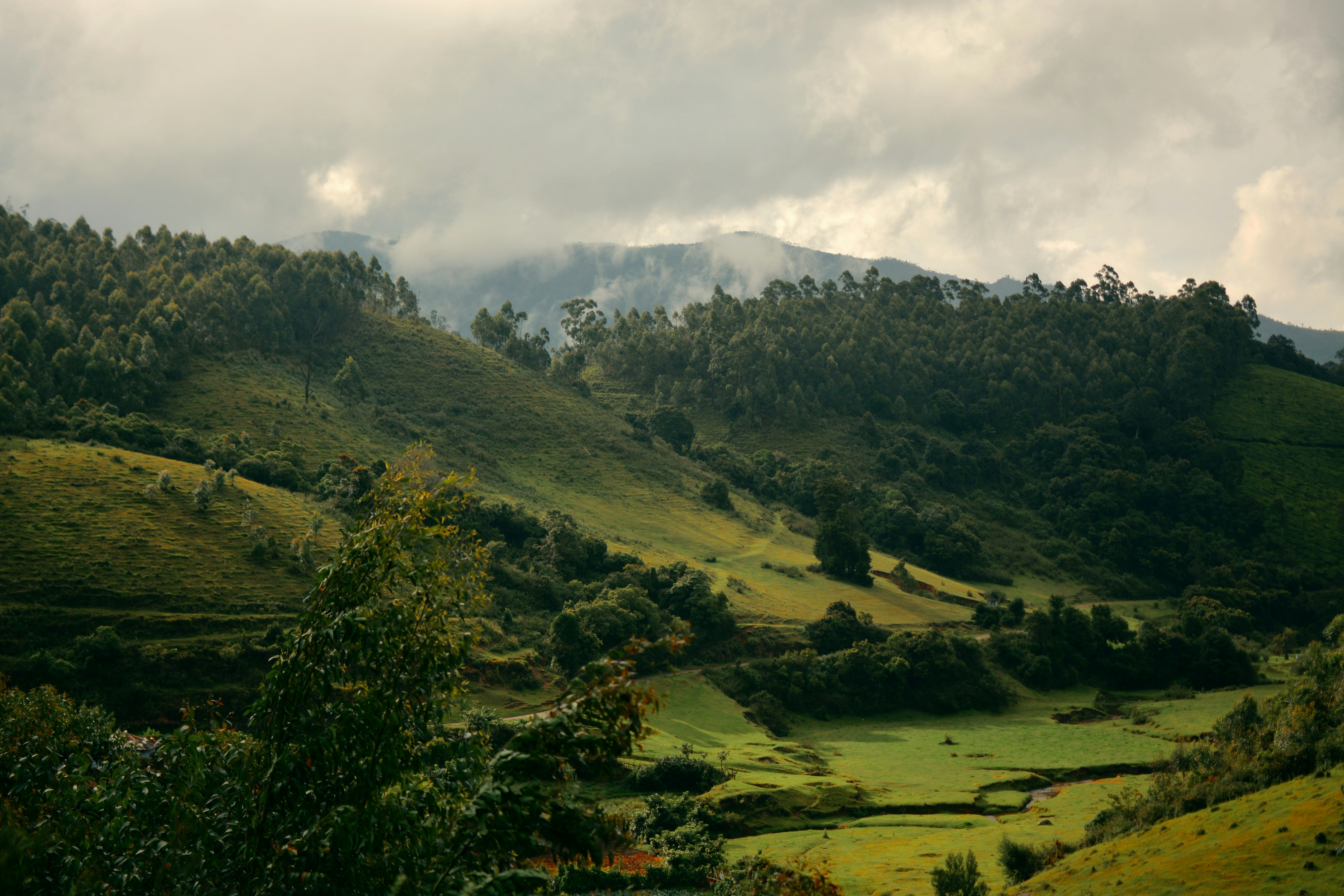 Photo by budihalsuhas1997