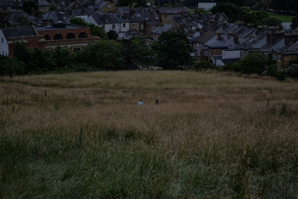 a grassy field with houses in the background