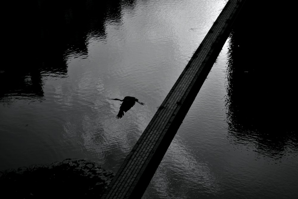 a bird flying over a bridge