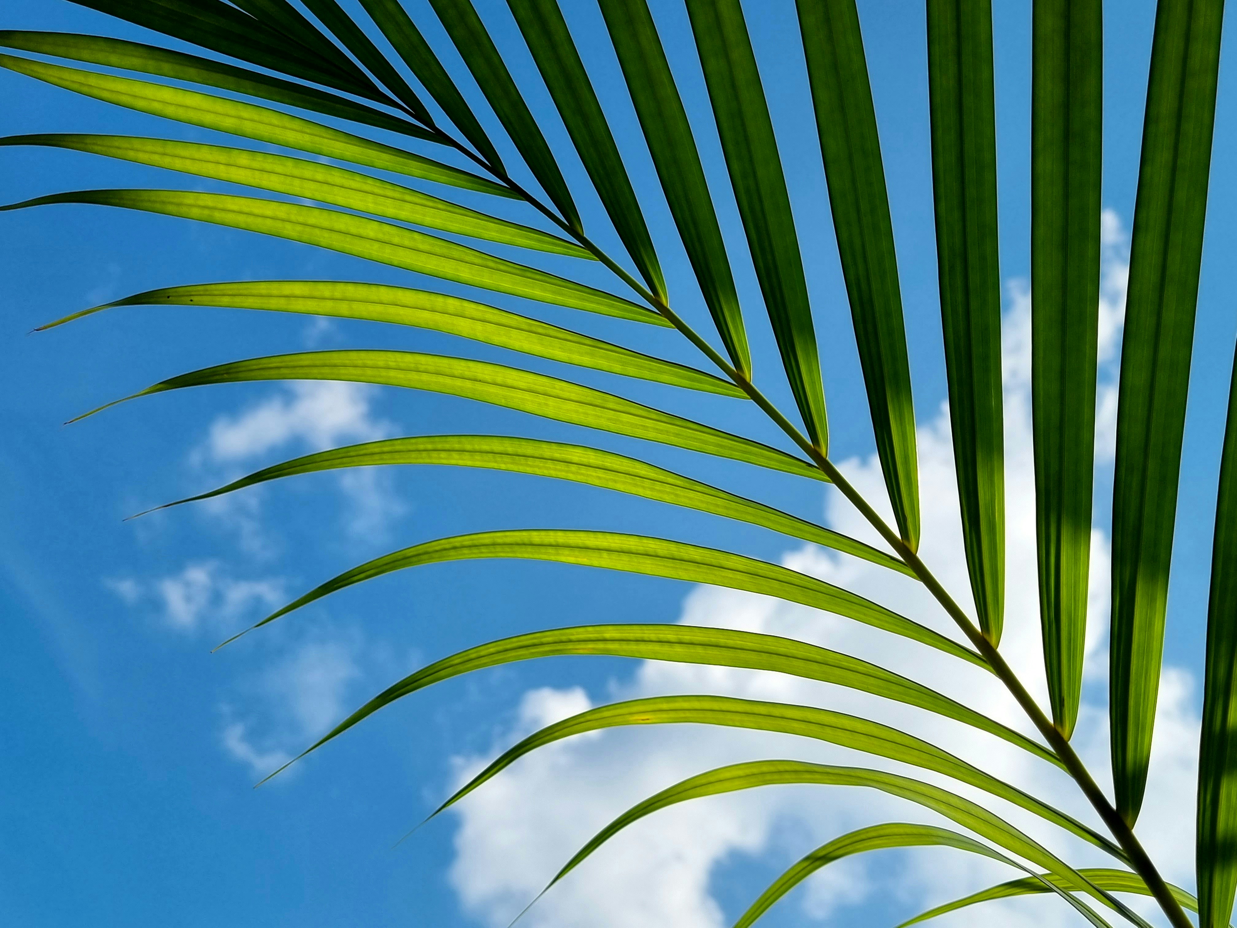 Photo by ap00rvverma