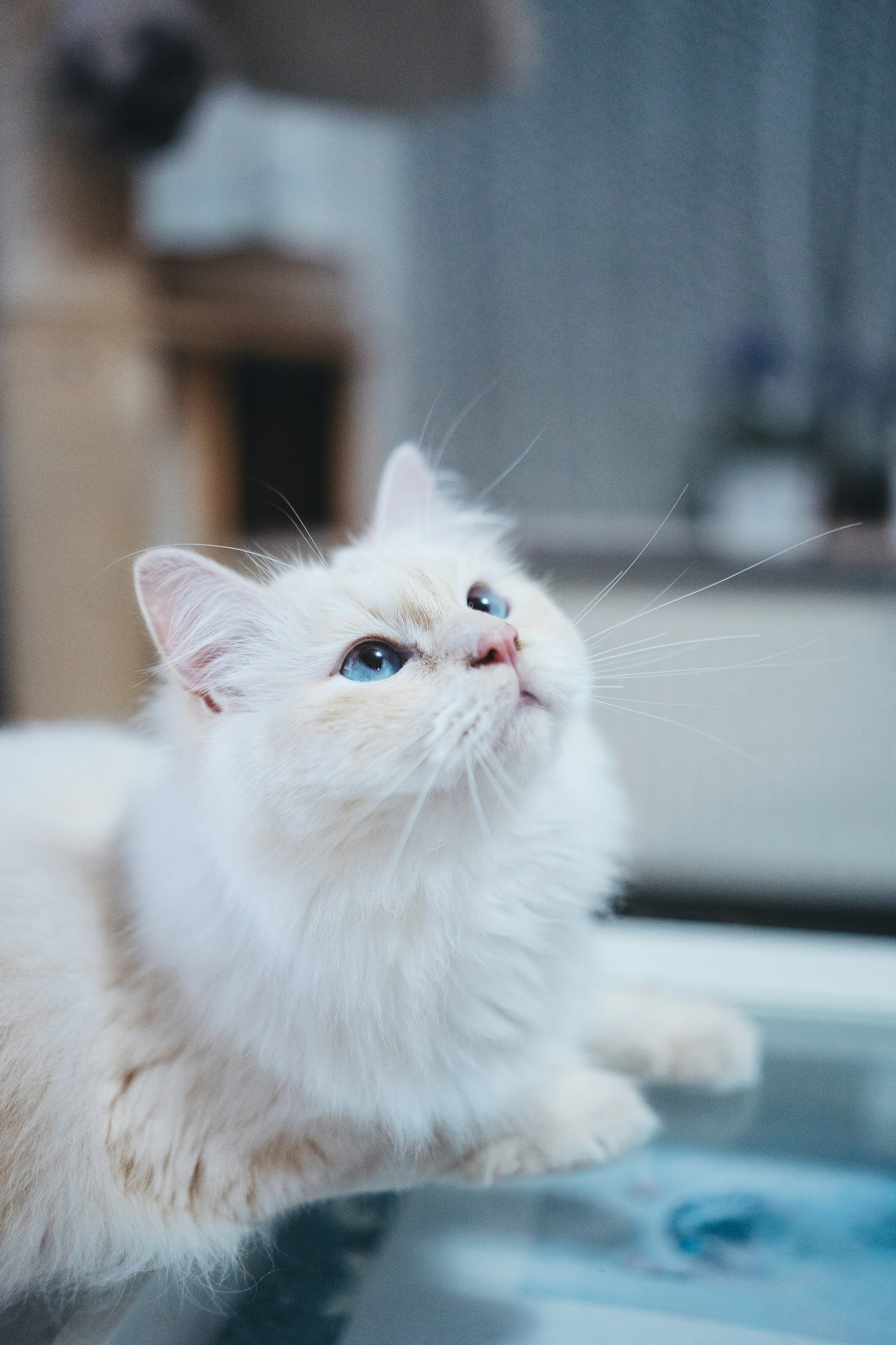 Photo by omarvellous14