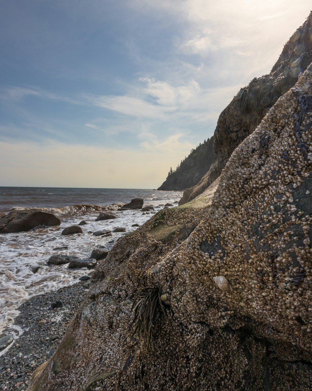 a rocky beach with a body of water in the background