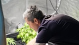 a man looking at a plant