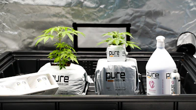 Neatly arranged grow bags filled with dark, fertile coir soil.