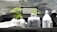 Two small plants with green leaves are growing in bags labeled as 'pure coco coir' and are placed inside a black plastic container. Next to the plants, there are containers of gardening products, including a large white bottle labeled 'pure nutrients BOOST'. The background appears to be a reflective silver surface.