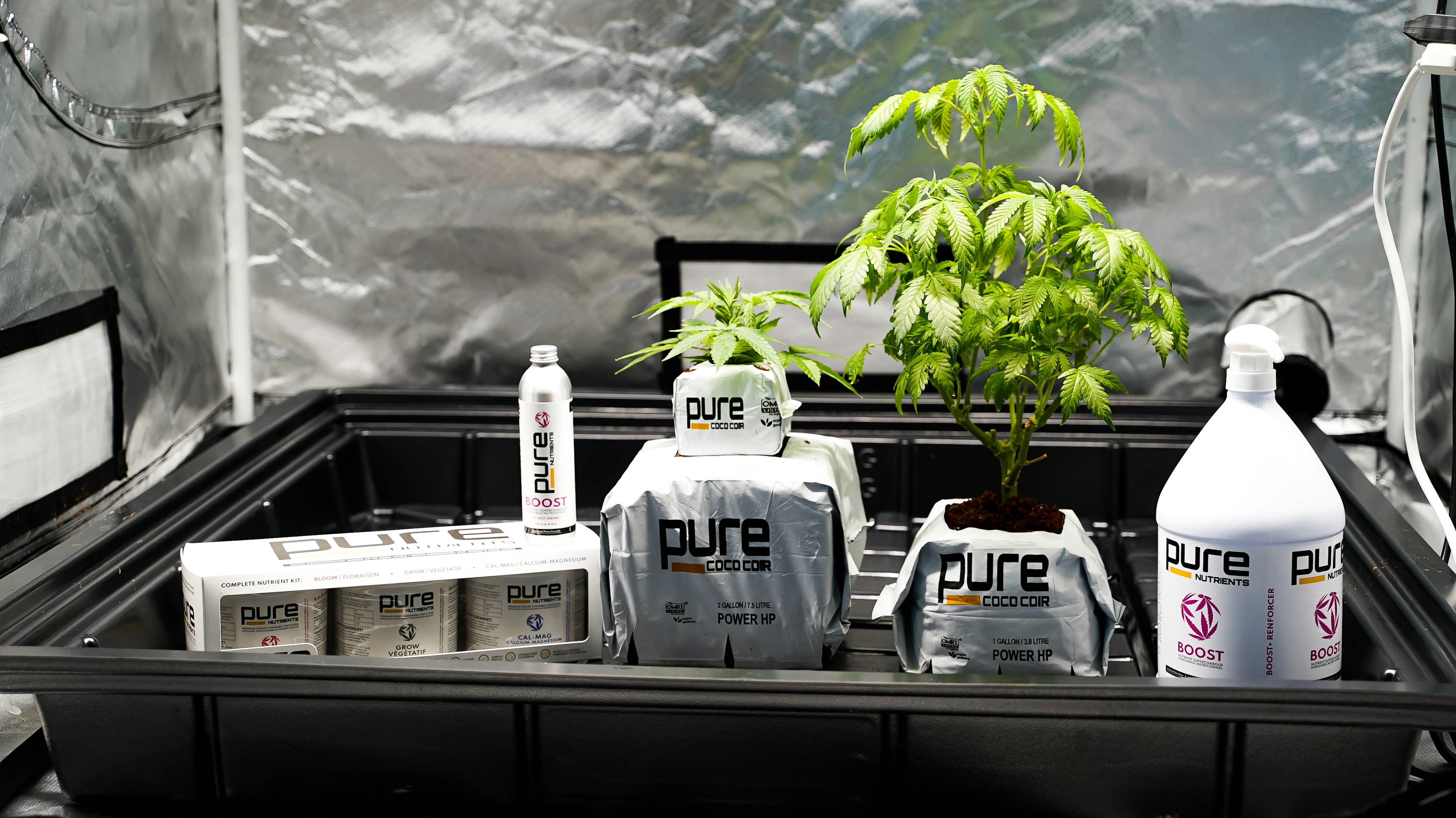 a group of bottles and containers on a shelf