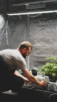 A farmer carefully inspecting mushroom beds inside a hygienic cultivation room