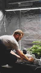 A person is kneeling in a grow room, tending to plants next to bags labeled 'pure'. The setting includes reflective walls and overhead grow lights, suggesting an indoor gardening or cultivation setup.