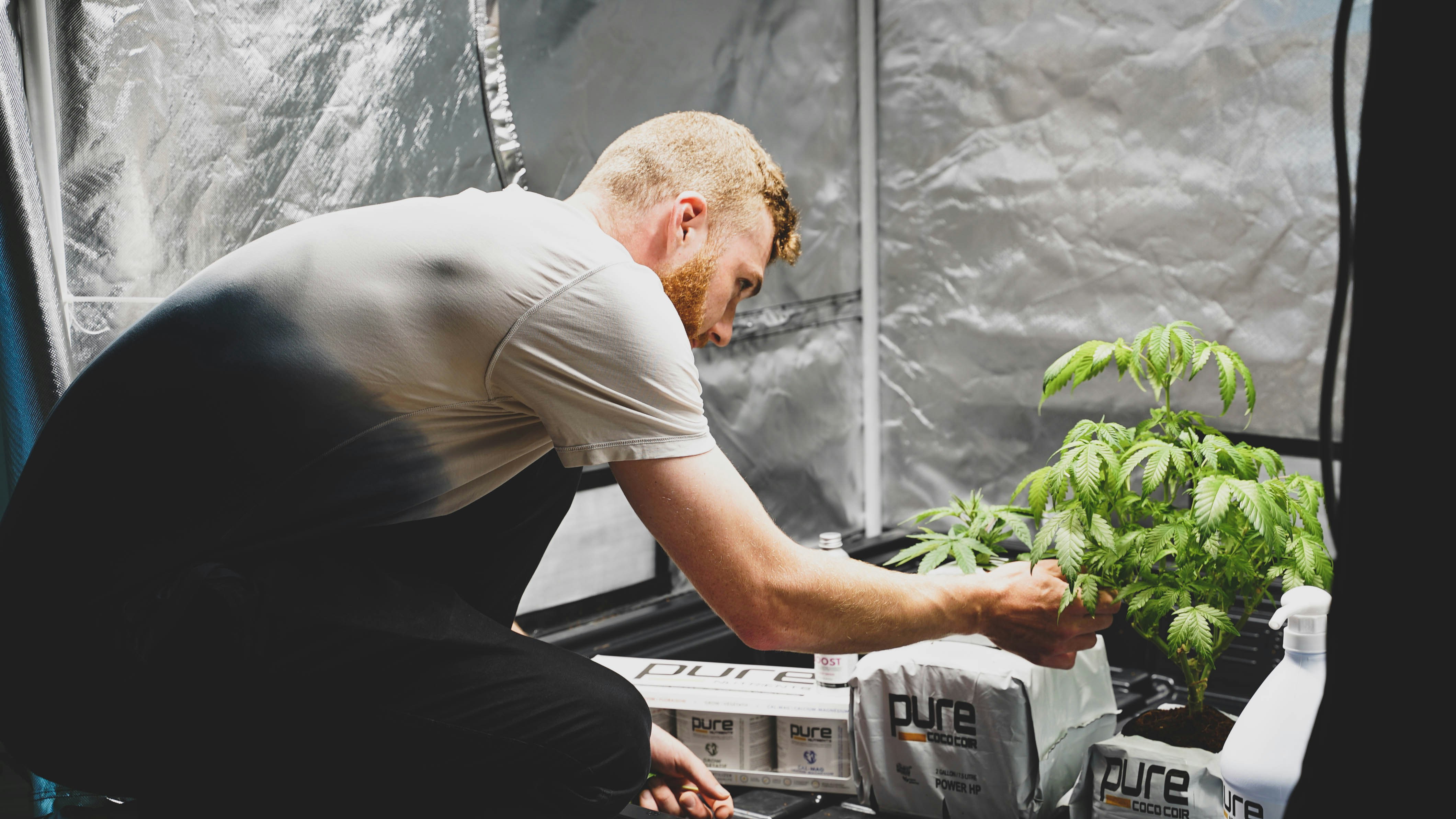 a man holding a plant