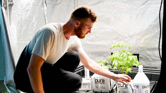 a man holding a plant