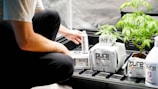 A person is kneeling next to several products labeled 'pure' and a young green plant in a grow tent setting. The products seem to be related to plant cultivation, possibly fertilizers or soil enhancers.