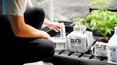 A person is kneeling next to several products labeled 'pure' and a young green plant in a grow tent setting. The products seem to be related to plant cultivation, possibly fertilizers or soil enhancers.