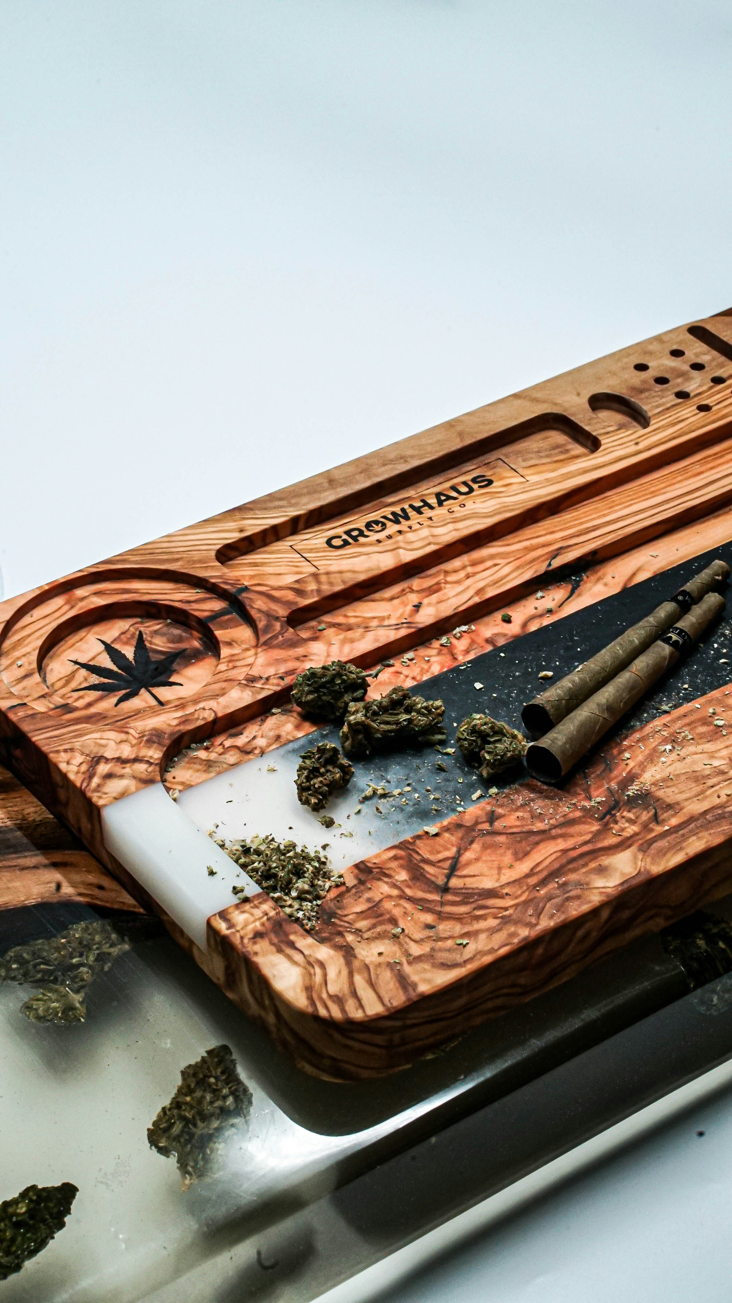 좀비 떼와 폭소탄의 콜라보! 뇌즙 터지는 코믹 호러 쇼, 지금 바로 입장!