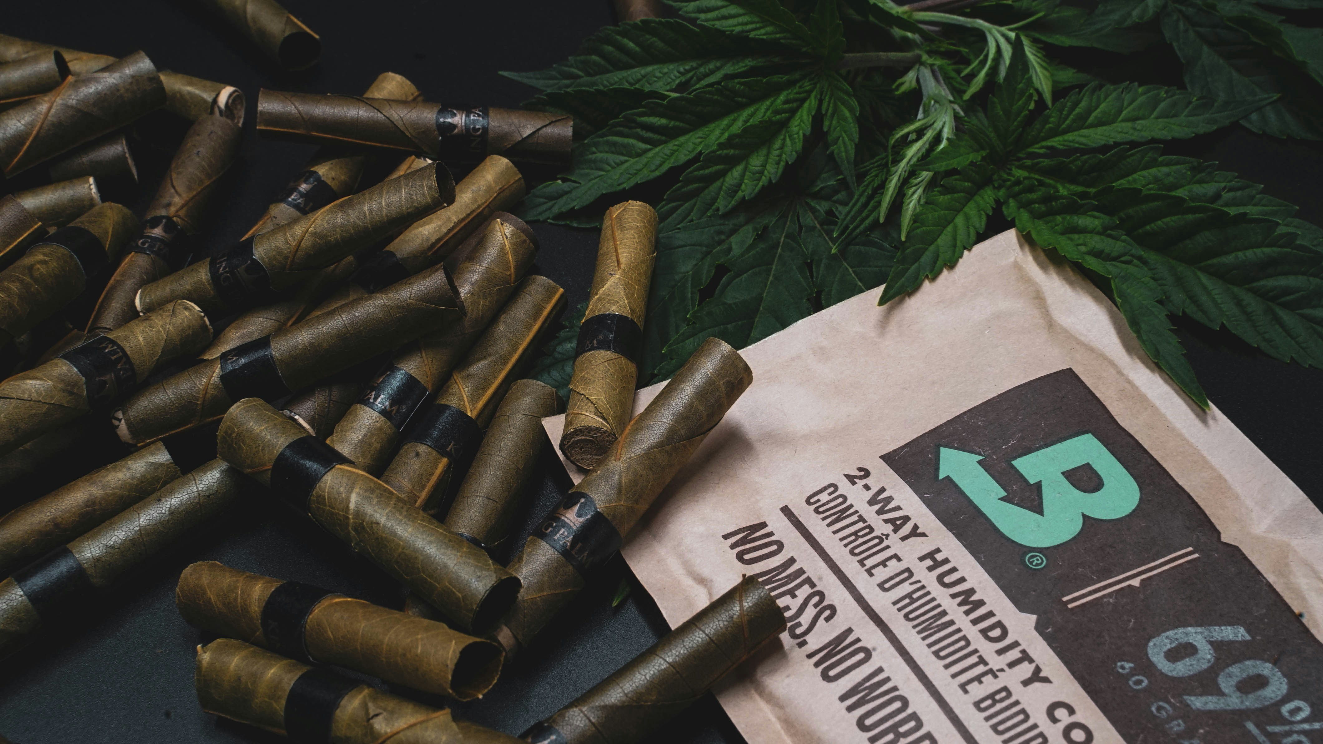 Bugün öğrendim ki: Halo: Combat Evolved...