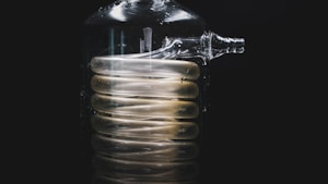Crystal Clear Bong