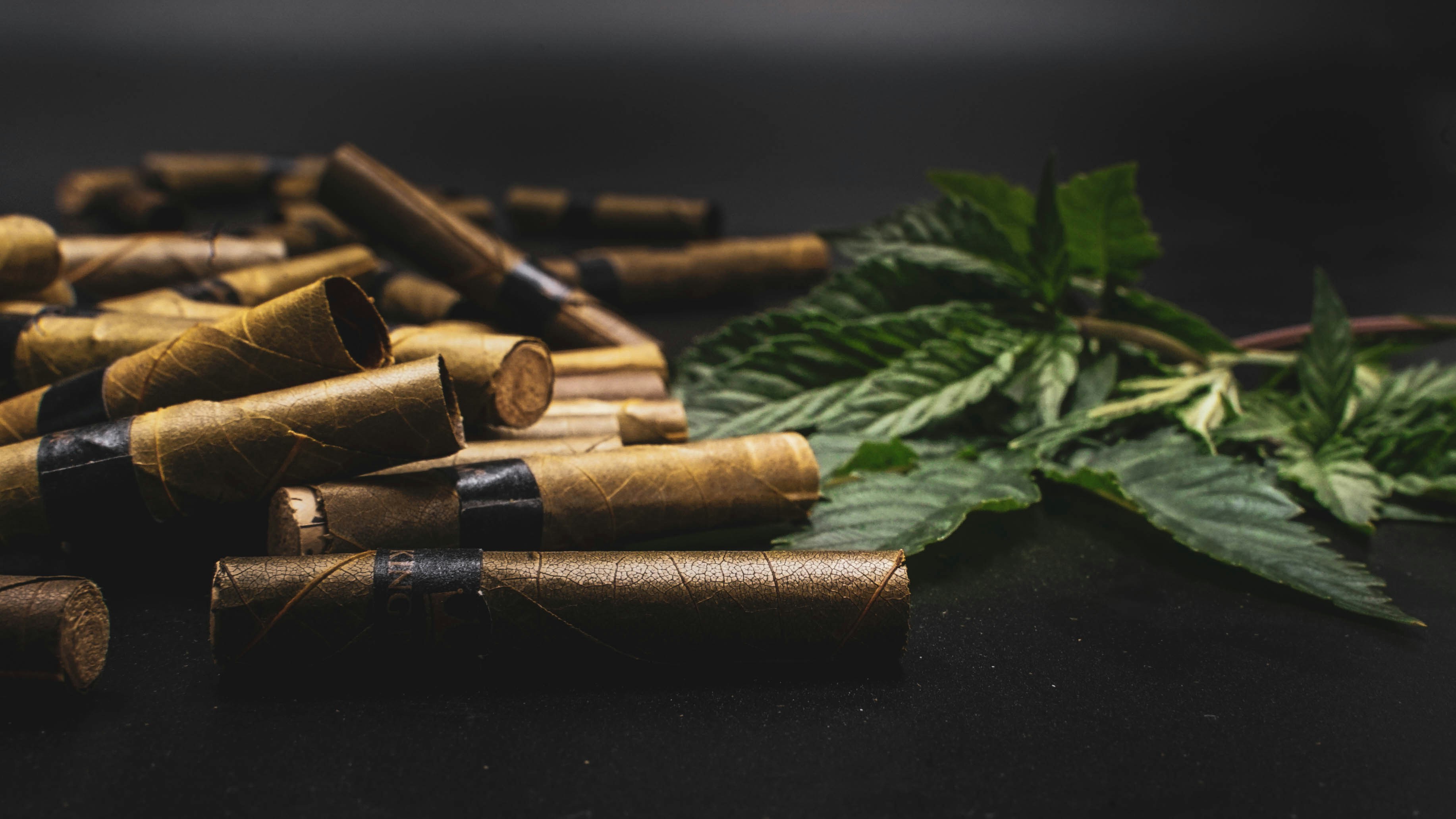 Un grupo de objetos de madera foto – Imagen de Flor gratuita en Unsplash, image size:3000x1687