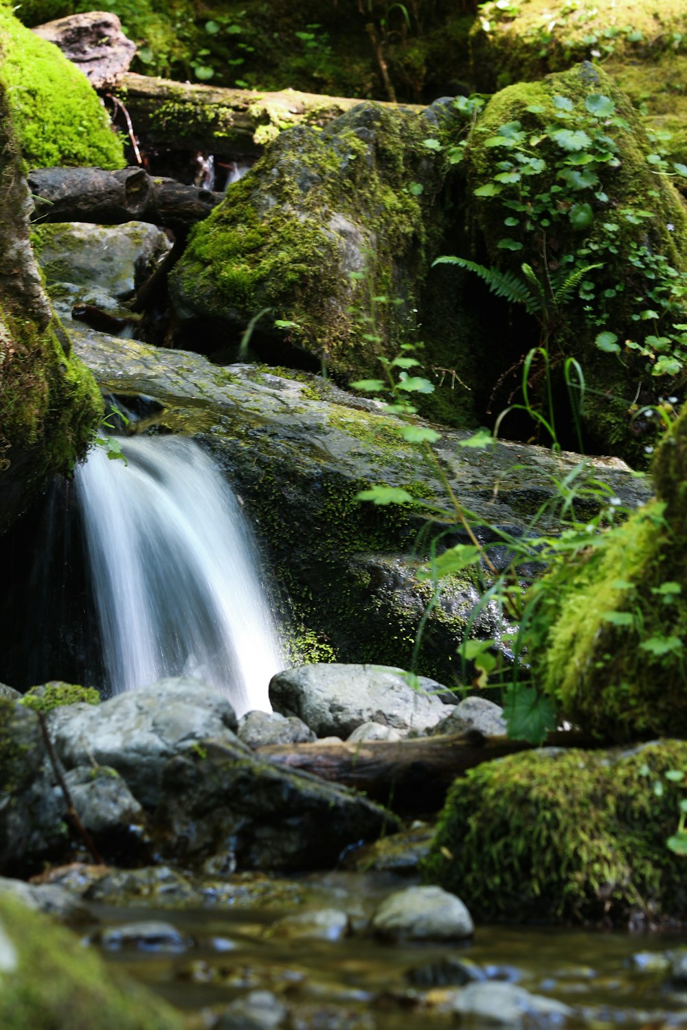 a waterfall in a forest