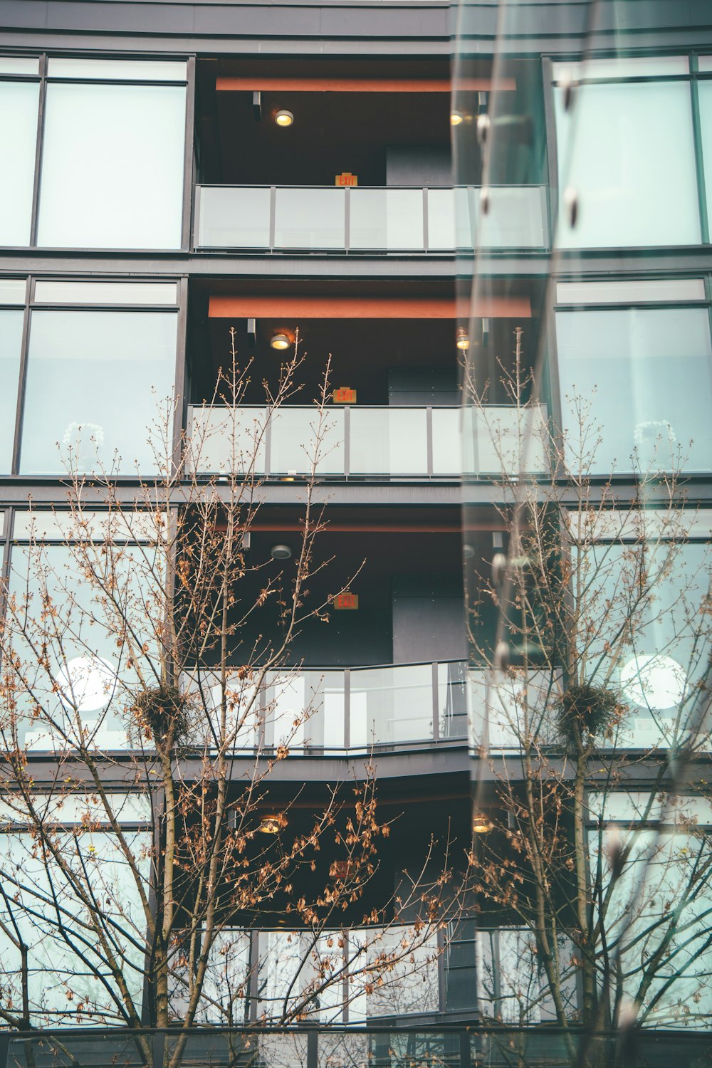 a building with a tree in front of it