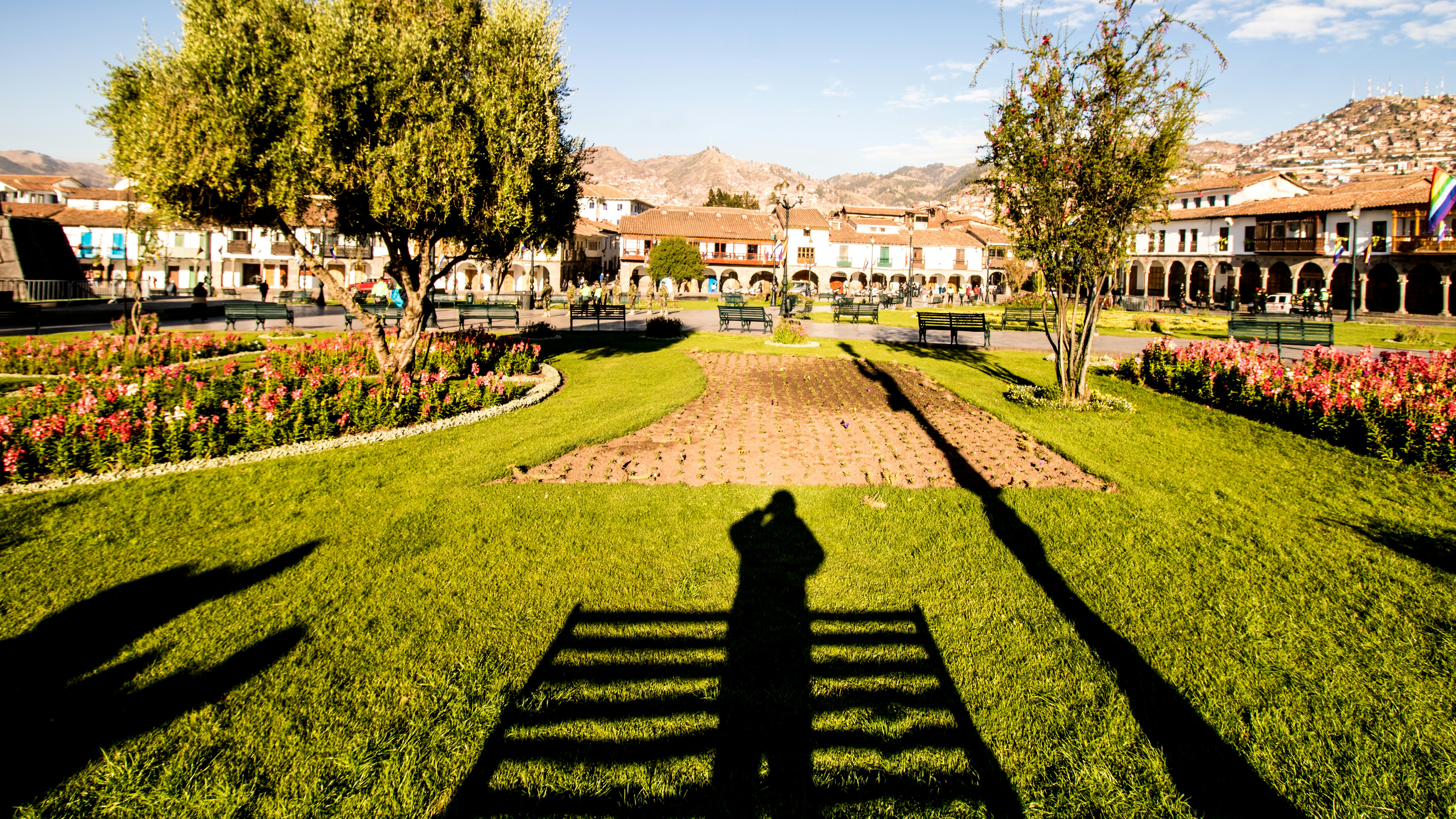 a person's shadow on a grass field with flowers and buildings in the background