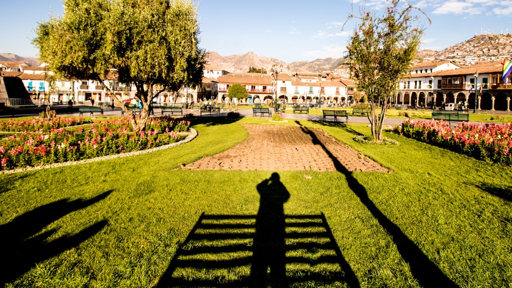 a person's shadow on a grass field with flowers and buildings in the background