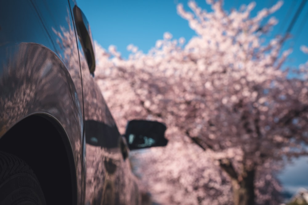 une voiture garée devant un arbre en fleurs
