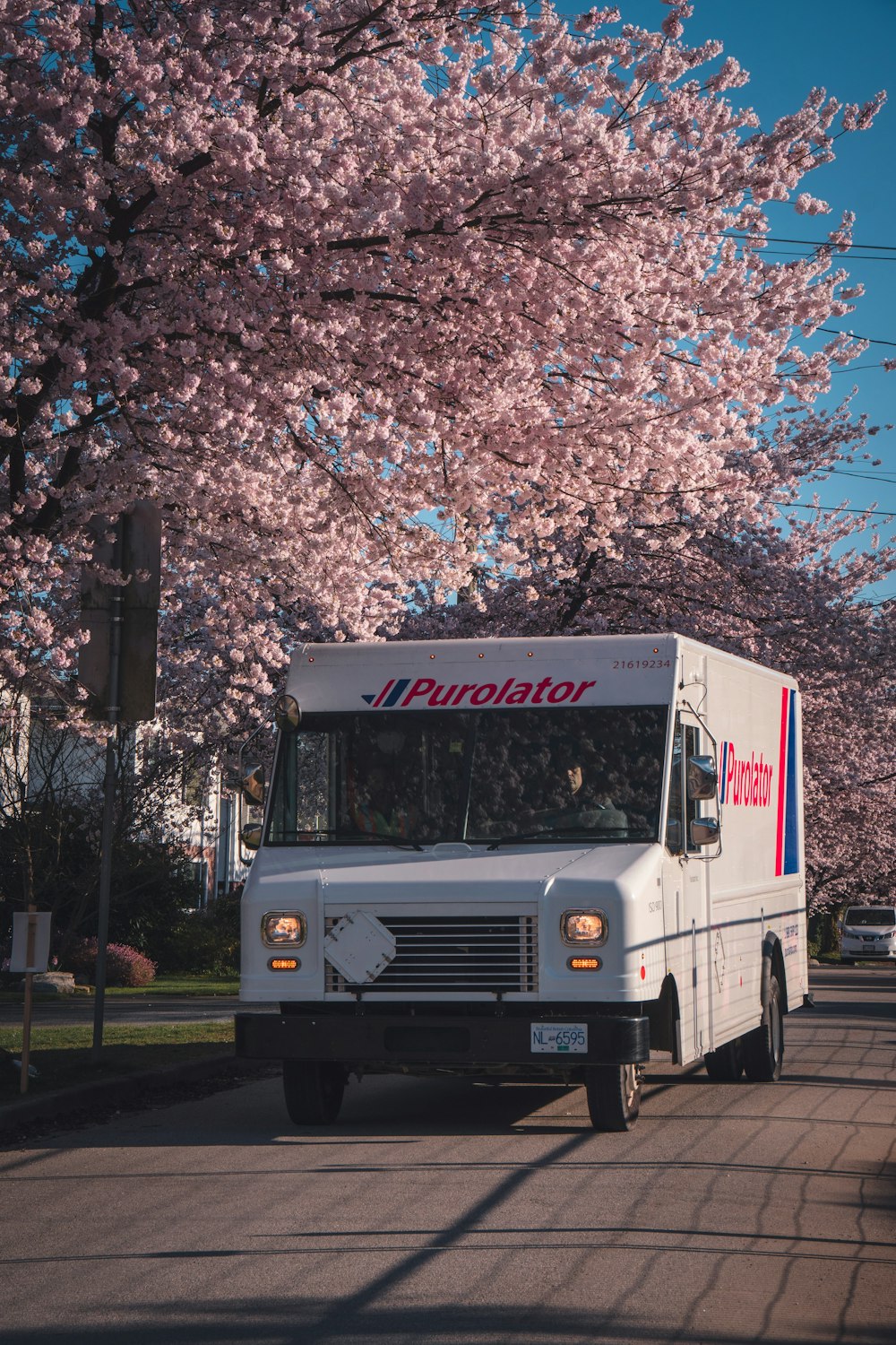 a white truck parked on the side of a road