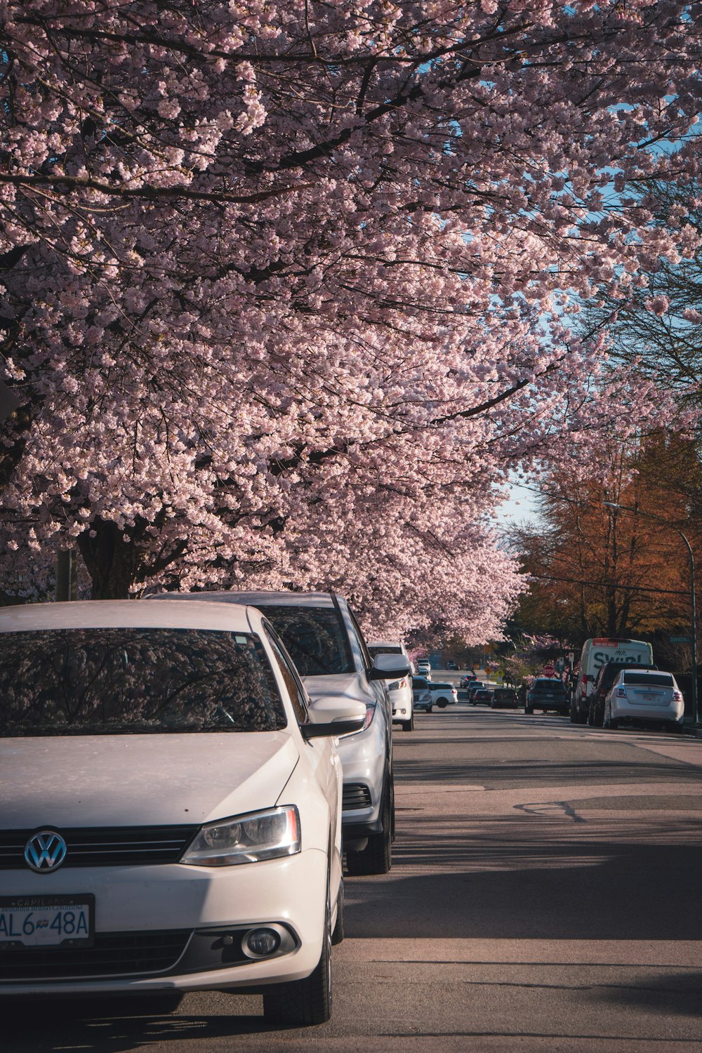 a street with cars and trees on the side