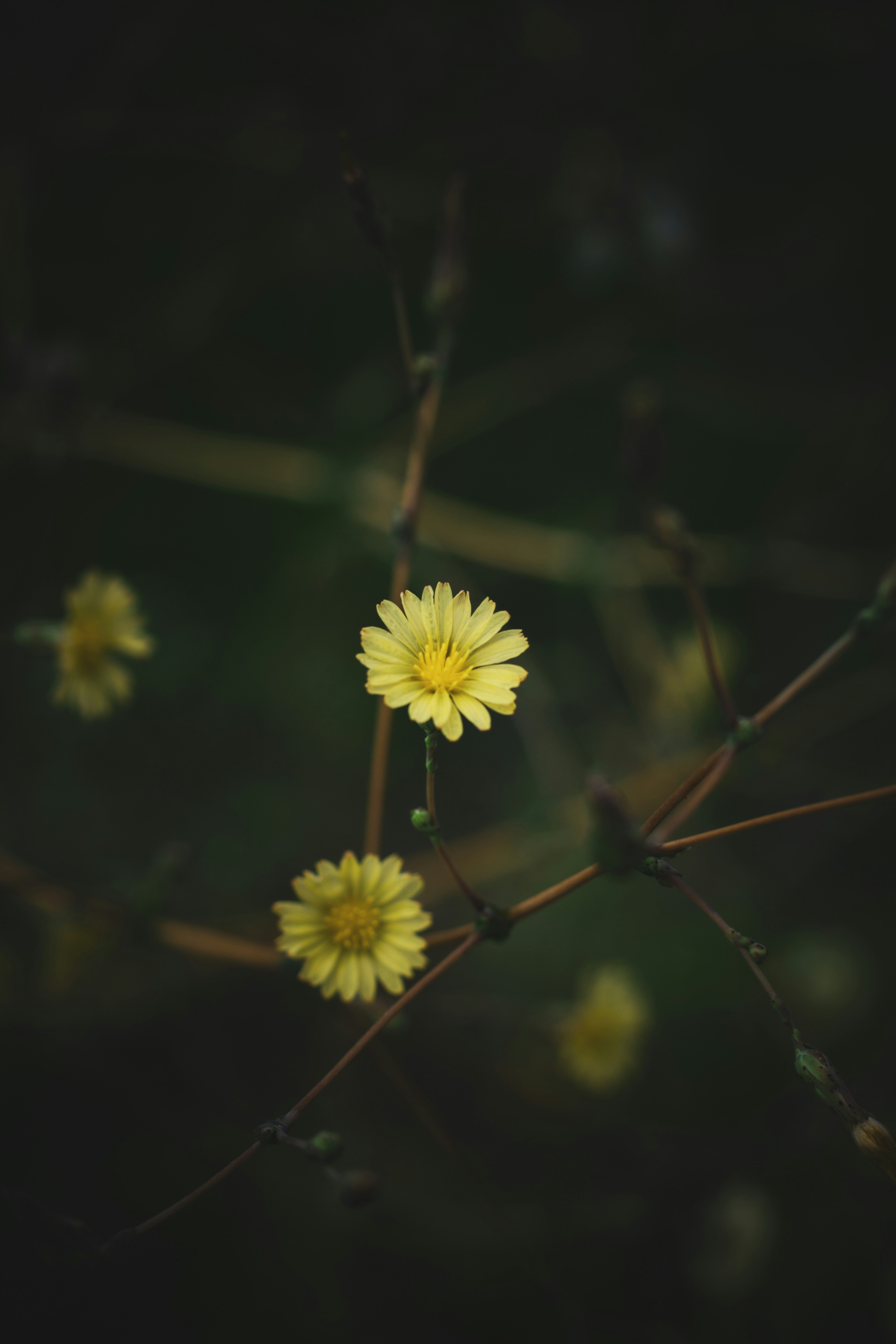 photo-1657821489607-4c0fd160c824?ixid=M3wxMjA3fDB8MXxzZWFyY2h8MTZ8fCVFQyVCMiU5QyVFQyU5NSU4OCUyMCVFRCU4NSU4QyVFQiU5RCVCQyVFRCU5NCVCQyUyMCVFQiVBNyU4OCVFQyU4MiVBQyVFQyVBNyU4MHxlbnwwfHx8fDE3NDE1MDAzNjl8MA\u0026ixlib=rb-4.0.3