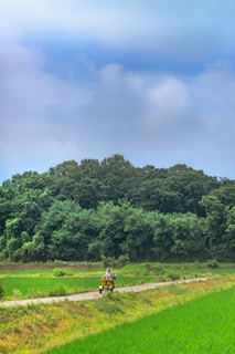 a person riding a motorcycle on a dirt road surrounded by trees