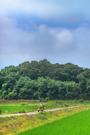 a person riding a motorcycle on a dirt road surrounded by trees