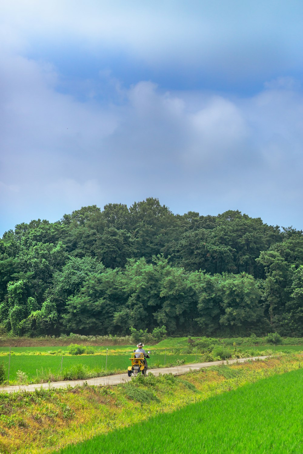 a person riding a motorcycle on a dirt road surrounded by trees
