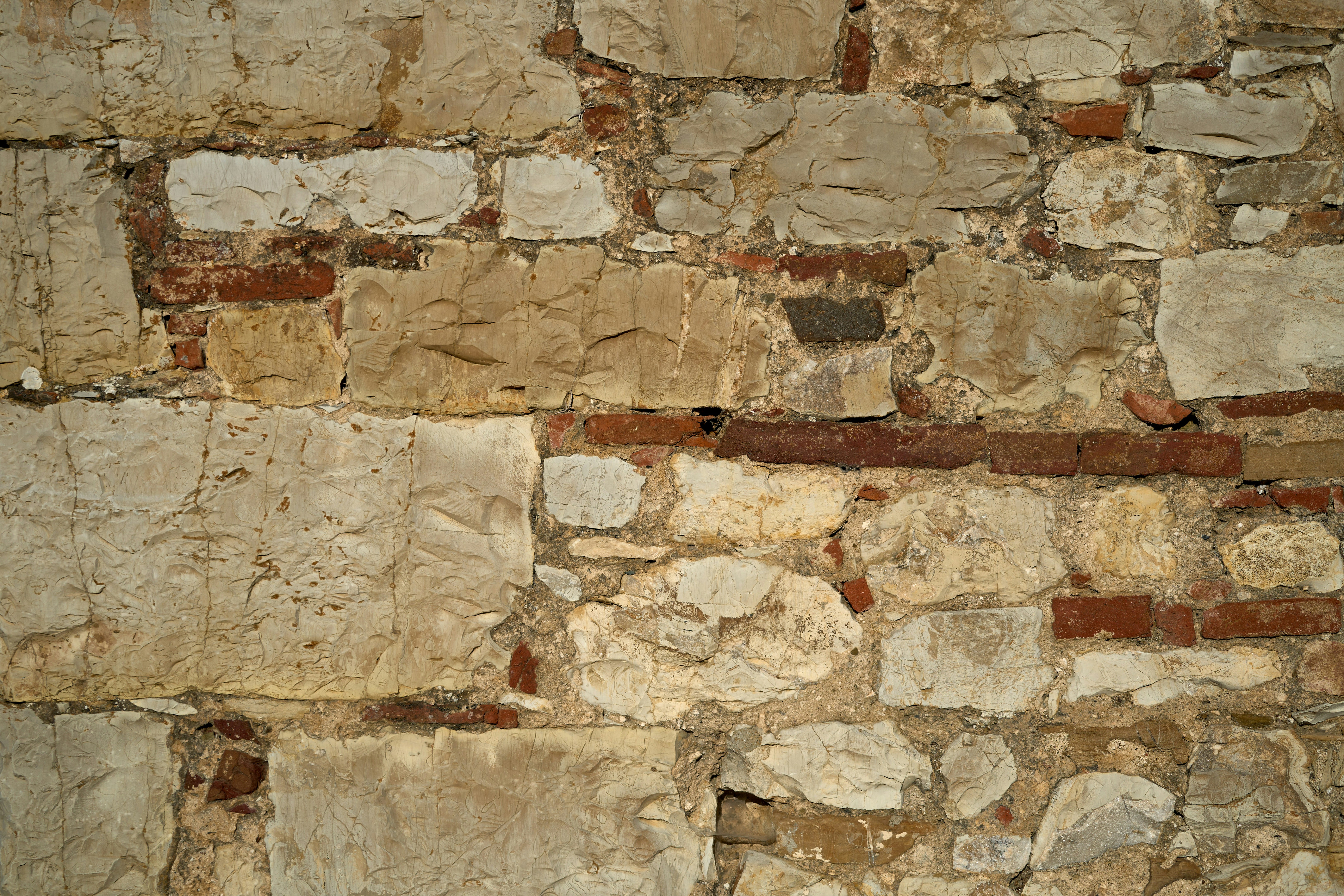 Photo by wolfgang_hasselmann