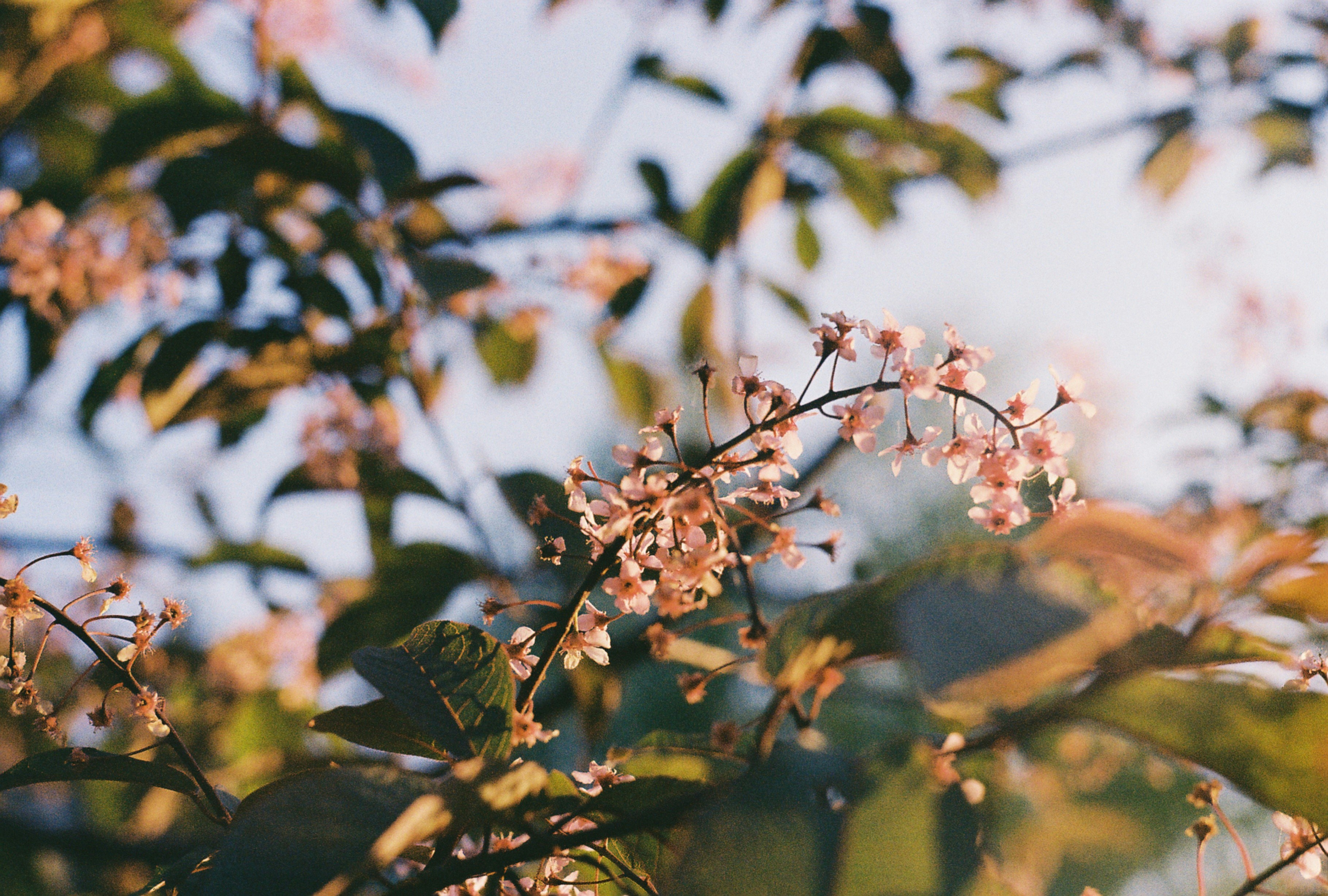 Photo by fedorovaliza